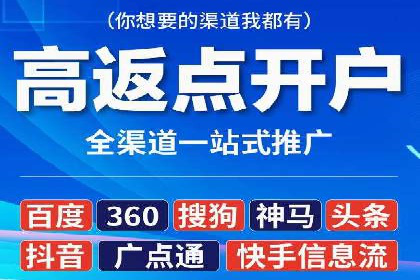 百度推广平台案例剖析：揭秘广告投放策略